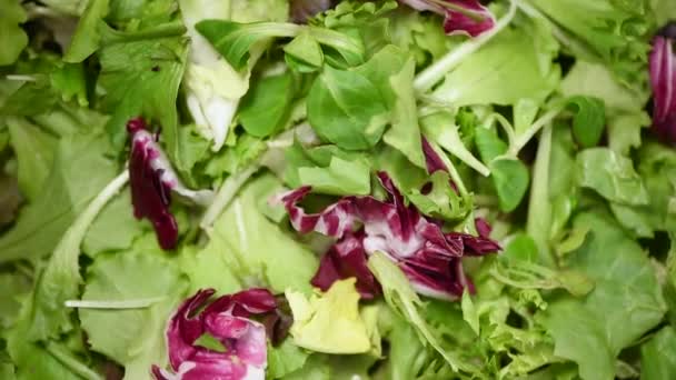 Folhas de salada frescas no chão giratório. Vista superior. Verduras orgânicas cruas verdes. Dieta Vegan e conceito de comida vegetariana . — Vídeo de Stock
