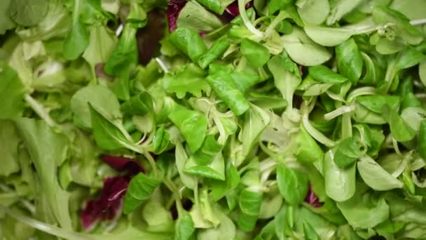 Чудеса из семян в салат на вращающемся фоне. Сырые органические овощи. Вид сверху. Веганская диета и вегетарианское питание . — стоковое видео
