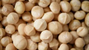 Macadamia fındık rotasyonu. Yemek malzemesi geçmişi. Vejetaryen diyeti. Sağlıklı bir yaşam tarzı. Doğal kuru meyve ve fındık konsepti ürünü.