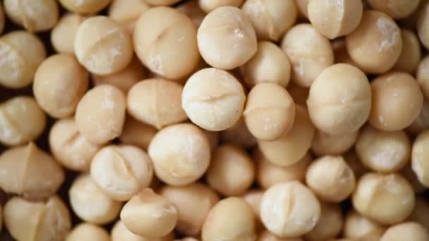 Macadamia-Nüsse rotieren. Hintergrund der Lebensmittelzutaten. Vegane, vegetarische Ernährung. Gesunder Lebensstil. Natürliche Trockenfrüchte und Nüsse Konzeptprodukt. — Stockvideo