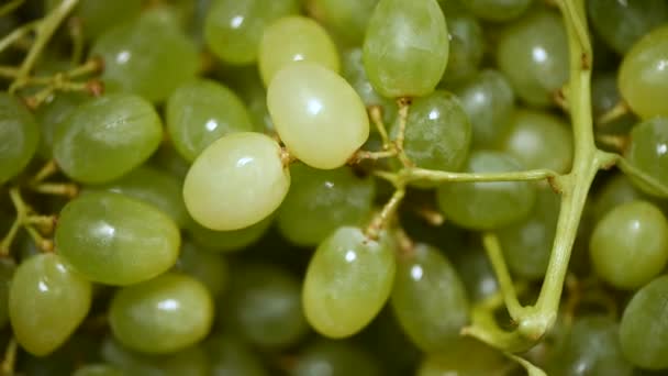 Uvas verdes frescas em fundo rotativo. Vista superior. Vegan e conceito de alimentos crus. Textura de uvas suculentas — Vídeo de Stock