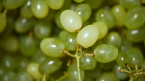 Uvas verdes frescas em fundo rotativo. Vista superior. Vegan e conceito de alimentos crus. Textura de uvas suculentas — Vídeo de Stock