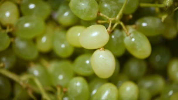 Uvas verdes frescas em fundo rotativo. Vista superior. Vegan e conceito de alimentos crus. Textura de uvas suculentas — Vídeo de Stock