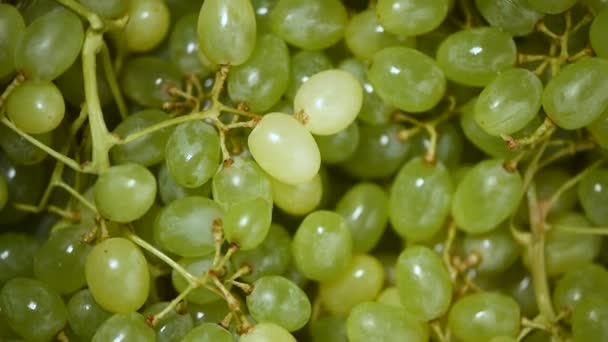 新鲜的绿色葡萄在旋转的背景。顶部视图。素食和生食的概念。多汁葡萄质感 — 图库视频影像