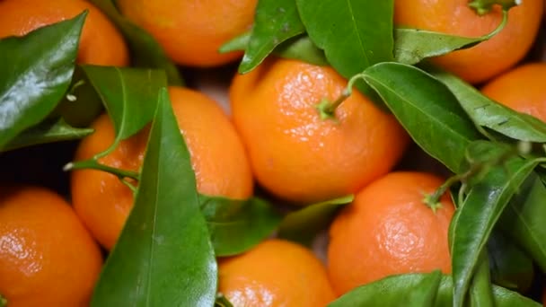 Sinaasappels met groene bladeren en takken op draaiende achtergrond. Bovenaanzicht. Veganistisch en rauw voedsel concept. Sinaasappelfruit, sappige mandarijnen — Stockvideo
