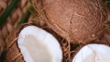 Palmiye dalında olgun hindistan cevizleri, dönen arka plan. Üst Manzara. Tropik meyve. Sağlıklı yemek, cilt bakımı konsepti. Hindistan cevizi suyu ve süt. Vejetaryen yemeği.