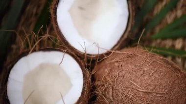 Palmiye dalında olgun hindistan cevizleri, dönen arka plan. Üst Manzara. Tropik meyve. Sağlıklı yemek, cilt bakımı konsepti. Hindistan cevizi suyu ve süt. Vejetaryen yemeği.
