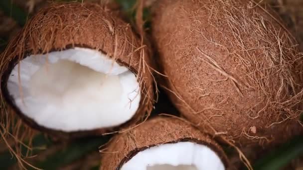 Cocos maduros no ramo da palma, fundo rotativo. Vista superior. Fruta tropical. Alimentos saudáveis, conceito de cuidados com a pele. Água de coco e leite. Comida Vegan . — Vídeo de Stock