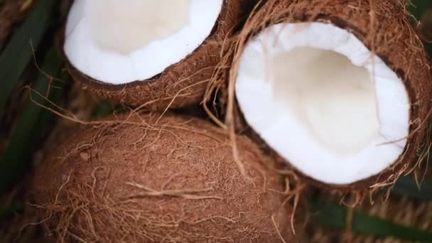 Dojrzałe kokosy na gałęzi palmowej, obracające się tło. Widok góry. Tropikalny owoc. Zdrowe jedzenie, koncepcja pielęgnacji skóry. Woda kokosowa i mleko. Wegańskie. — Wideo stockowe