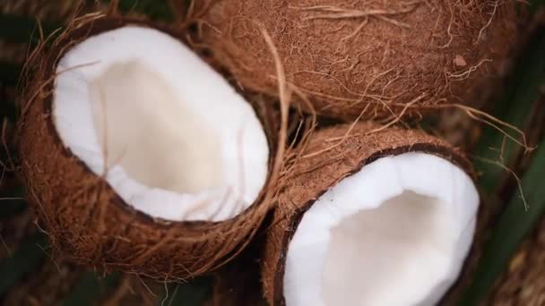 Cocos maduros en rama de palma, fondo giratorio. Vista superior. Fruta tropical. Comida saludable, concepto de cuidado de la piel. Agua de coco y leche. Comida vegana . — Vídeos de Stock