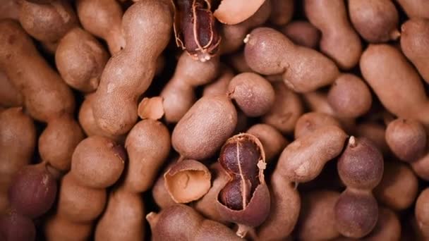 Tamarindo dulce sobre fondo giratorio. Vista superior. Fruta exótica, rama de palma tropical. Concepto de comida vegana y cruda — Vídeos de Stock