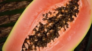Dönen arka planda olgun papaya. Üst Manzara. Egzotik meyve, tropik palmiye dalı. Vegan ve çiğ gıda konsepti. Kesilmiş papaya.
