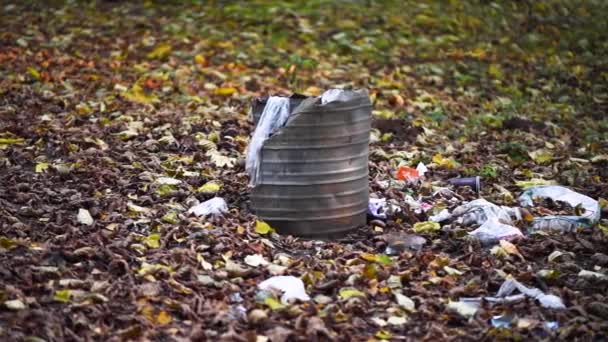 Trash bin filled with waste after picnic. Environmental pollution. Package of plastic garbage in the forest. Nature pollution. — Stock Video