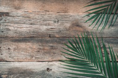 Tahta arka planda yeşil tropikal palmiye yaprağı. Antika dokudan önce egzotik dallar. Üst görünüm, alanı kopyala