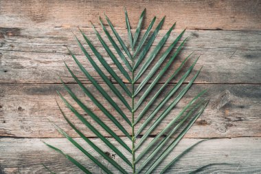 Tahta arka planda yeşil tropikal palmiye yaprağı. Antika dokudan önce egzotik dallar. Üst görünüm, alanı kopyala