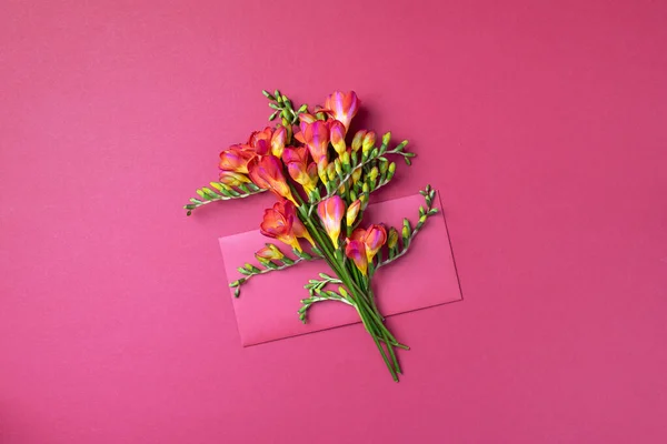 Voorjaar freesia bloemen op roze achtergrond. Vlakke lay, bovenaanzicht. Lente en zomer concept. Vrouwendag. Creatieve indeling. — Stockfoto