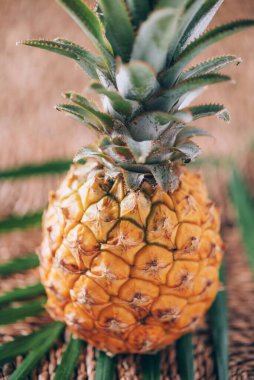 Arka planda palmiye yaprakları olan mini ananas. Uzayı kopyala Düz yatıyordu. Egzotik yiyecekler, tropikal meyve kavramı.