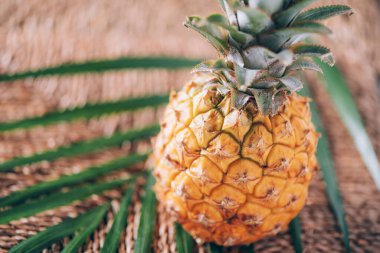 Arka planda palmiye yaprakları olan mini ananas. Uzayı kopyala Düz yatıyordu. Egzotik yiyecekler, tropikal meyve kavramı.