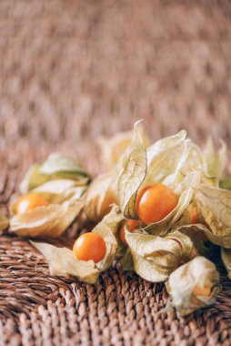 Arka planda palmiye yapraklarının üzerinde kabuk olan Physalis meyvesi. Uzayı kopyala Tropik seyahat, egzotik meyve. Vejetaryen ve vejetaryen kavramı. Physalis Peruviana meyvesi