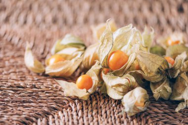 Arka planda palmiye yapraklarının üzerinde kabuk olan Physalis meyvesi. Uzayı kopyala Tropik seyahat, egzotik meyve. Vejetaryen ve vejetaryen kavramı. Physalis Peruviana meyvesi