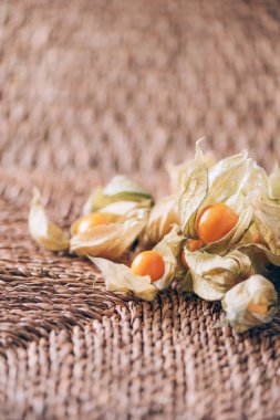 Arka planda palmiye yapraklarının üzerinde kabuk olan Physalis meyvesi. Uzayı kopyala Tropik seyahat, egzotik meyve. Vejetaryen ve vejetaryen kavramı. Physalis Peruviana meyvesi