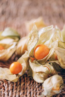 Arka planda palmiye yapraklarının üzerinde kabuk olan Physalis meyvesi. Uzayı kopyala Tropik seyahat, egzotik meyve. Vejetaryen ve vejetaryen kavramı. Physalis Peruviana meyvesi