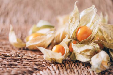 Arka planda palmiye yapraklarının üzerinde kabuk olan Physalis meyvesi. Uzayı kopyala Tropik seyahat, egzotik meyve. Vejetaryen ve vejetaryen kavramı. Physalis Peruviana meyvesi