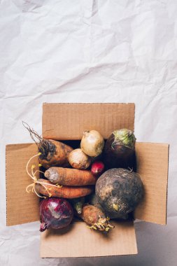 El işi kağıdında bir kutu gmo olmayan sebze. Sıfır atık üretimi kavramı. Uzayı kopyala Kompost ve küf kavramı