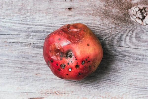 Spoiled bad red apple on wooden background. Garbage dump rotten food. Top view. Copy space. Rotten vegetables and fruits concept. Zero waste, compost