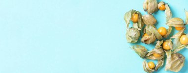 Mavi arka planda kabuğu olan Physalis meyvesi. Üst Manzara. Uzayı kopyala Tropik seyahat, egzotik meyve. Vejetaryen ve vejetaryen kavramı. Physalis Peruviana meyvesi