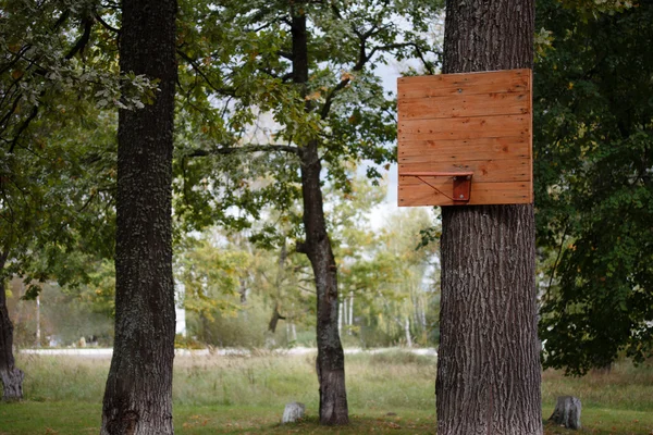 A parkban egy fán fa kosárlabda palánk. — Stock Fotó