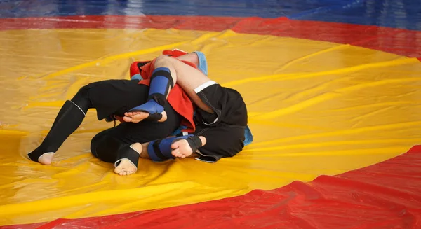 Judo, MAA. Dos hombres están peleando en una alfombra de lucha —  Fotos de Stock