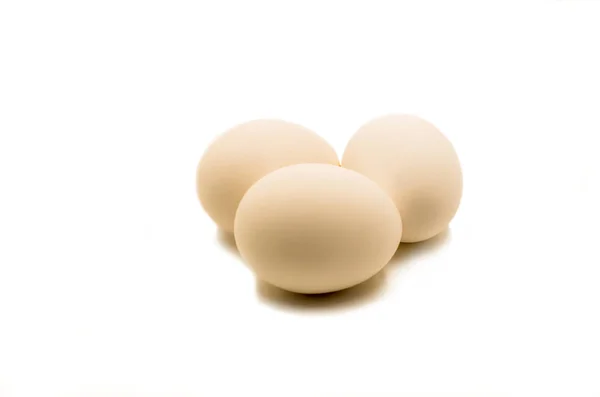 Tuoreet ruskeat munat — kuvapankkivalokuva