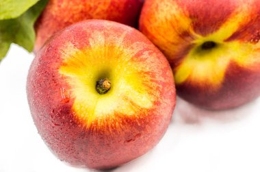 Beyaz arka plan üzerinde kuru soğan