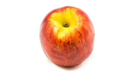 Beyaz arka plan üzerinde kuru soğan