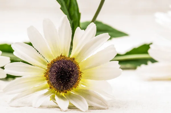 Fiore artificiale sul tessuto — Foto Stock