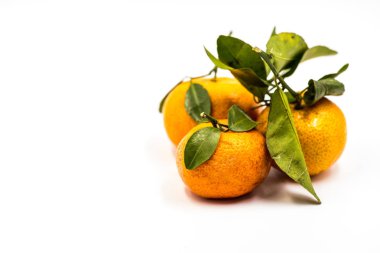 mandalina veya beyaz arka plan üzerinde izole mandalina