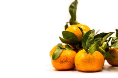 mandalina veya beyaz arka plan üzerinde izole mandalina