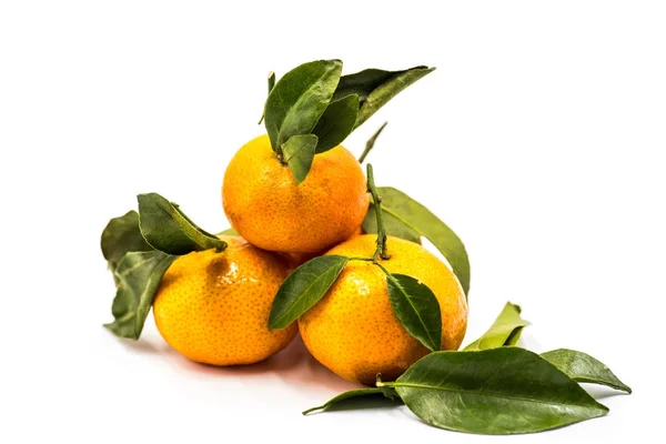 Mandarinen oder Mandarinen isoliert auf weißem Hintergrund — Stockfoto