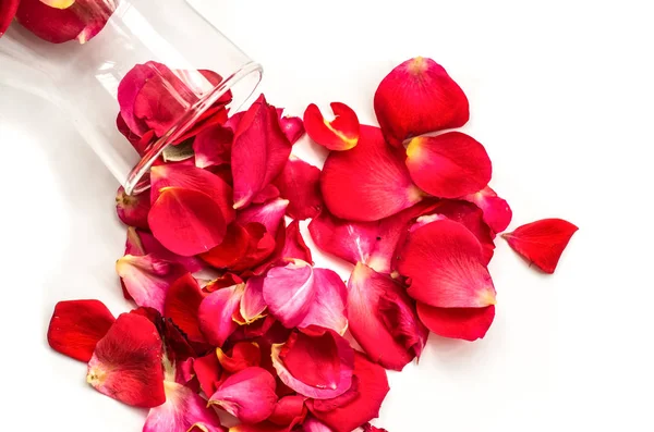 Mucchio di petali di rosa rossa con una bottiglia di vetro isolato su bianco — Foto Stock