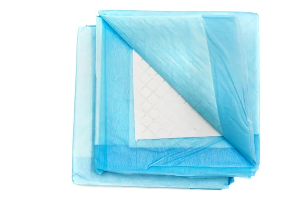 tuvalet eğitimi yastıkları üzerine beyaz izole evcil hayvanlar için. Ev hayvanlar için halı emici