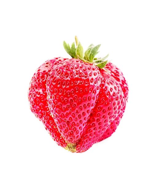 Ganze reife Erdbeere isoliert auf weißem Hintergrund — Stockfoto