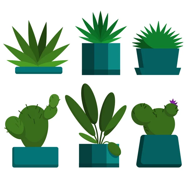 套绿壶家庭植物矢量插画。白色的盆栽假植物 — 图库矢量图片