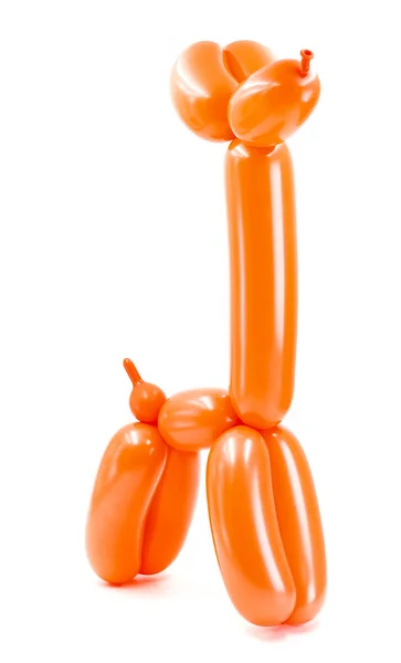흰색 배경에 고립 된 오렌지 트위스트 풍선 개 — 스톡 사진