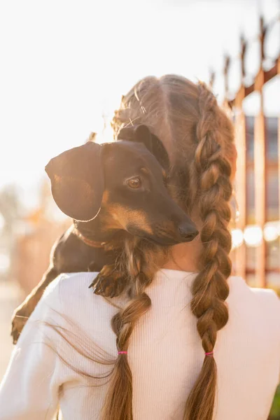 Adolescente chica sosteniendo su perro salchicha en sus brazos al aire libre en la puesta del sol — Foto de Stock