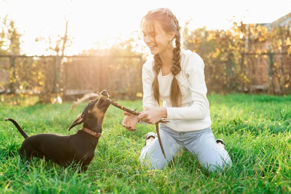 Grappige teckel spelen met haar eigenaar in het gras — Stockfoto
