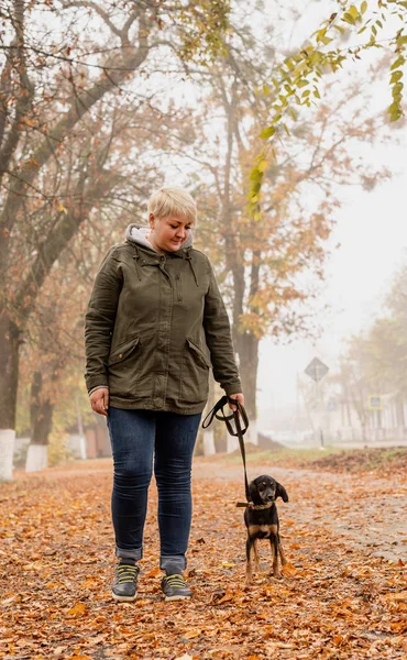 Mujer rubia caucásica paseando a su perro fuera en un día de otoño — Foto de Stock