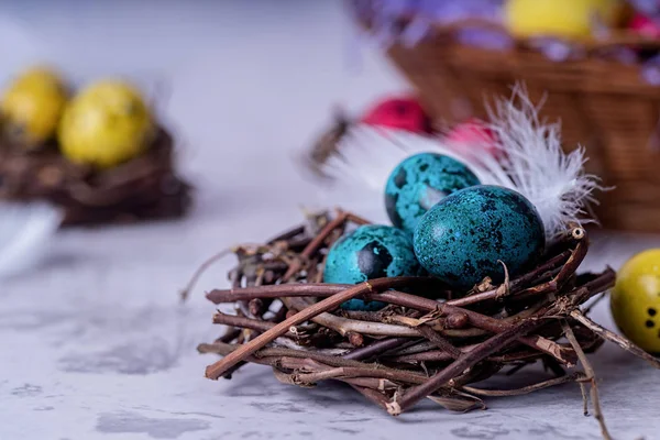 Colored quail eggs in a nest on gray marble background