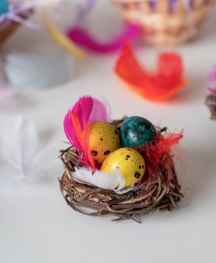 Easter quail eggs in a nest decorated with feathers on white table