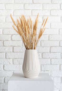 wheat spikes in a white vase on white brick wall background